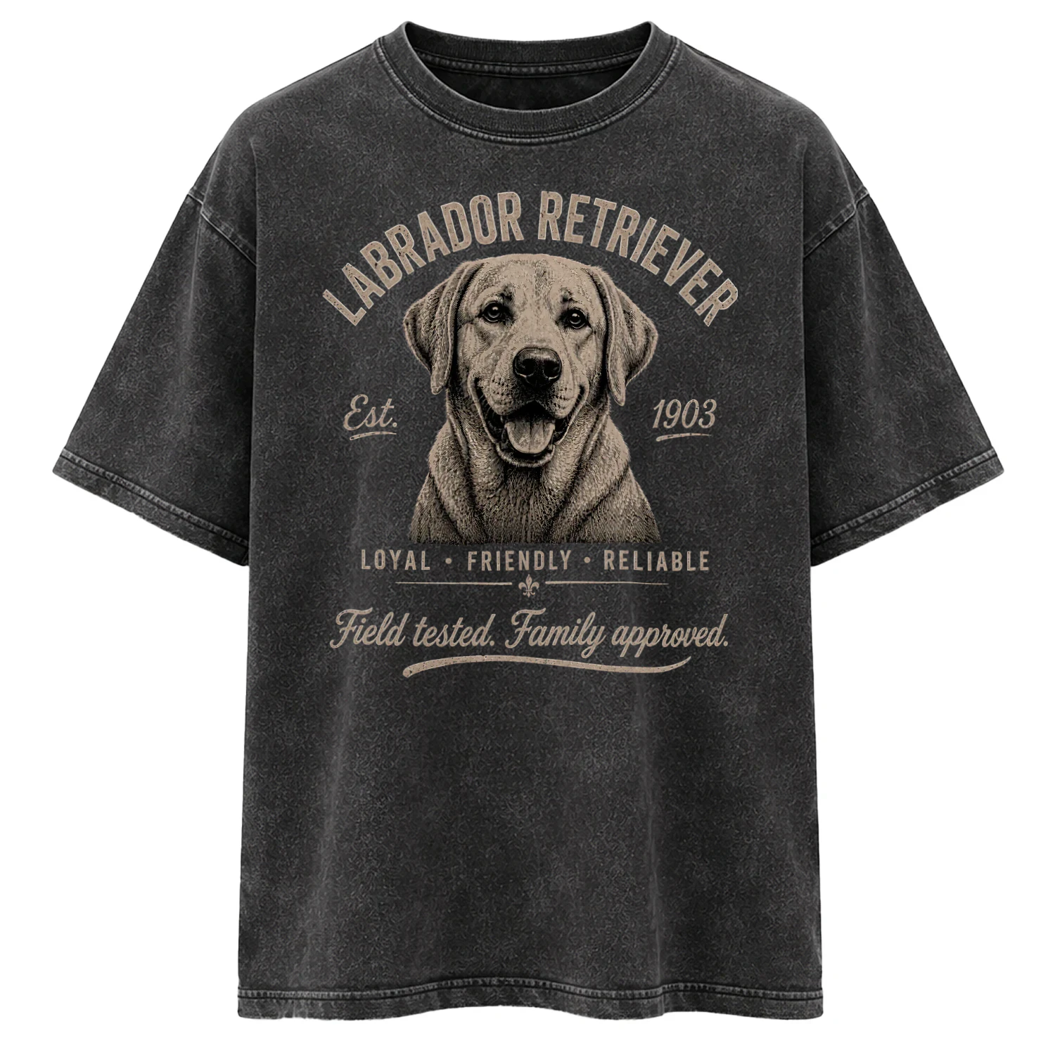 Labrador Retriever - Classic Edition