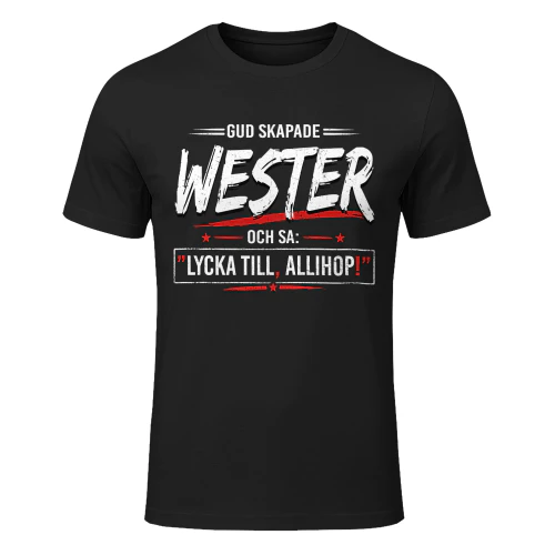 wester-fse185-fse0381