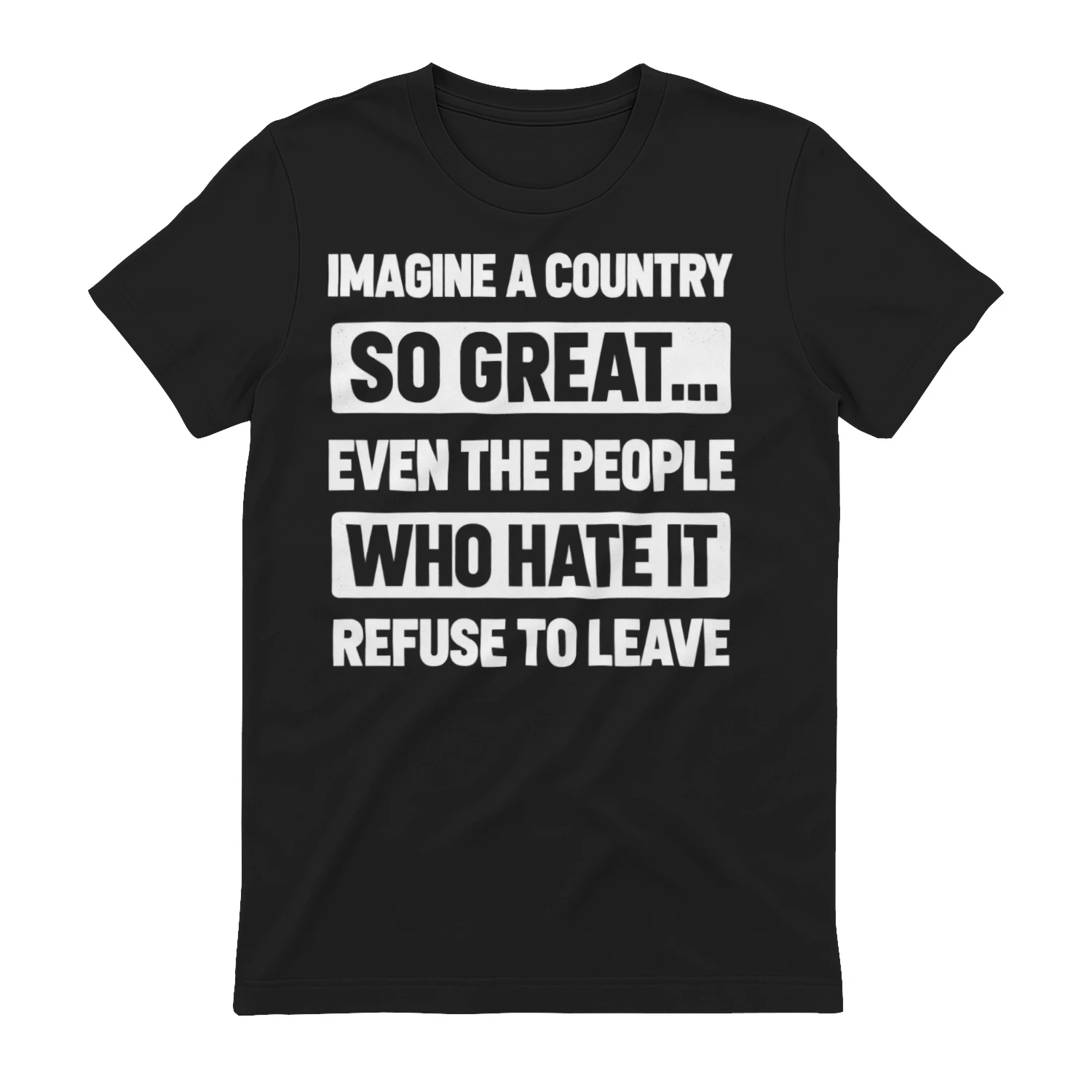 Imagine A Country So Great T-Shirt