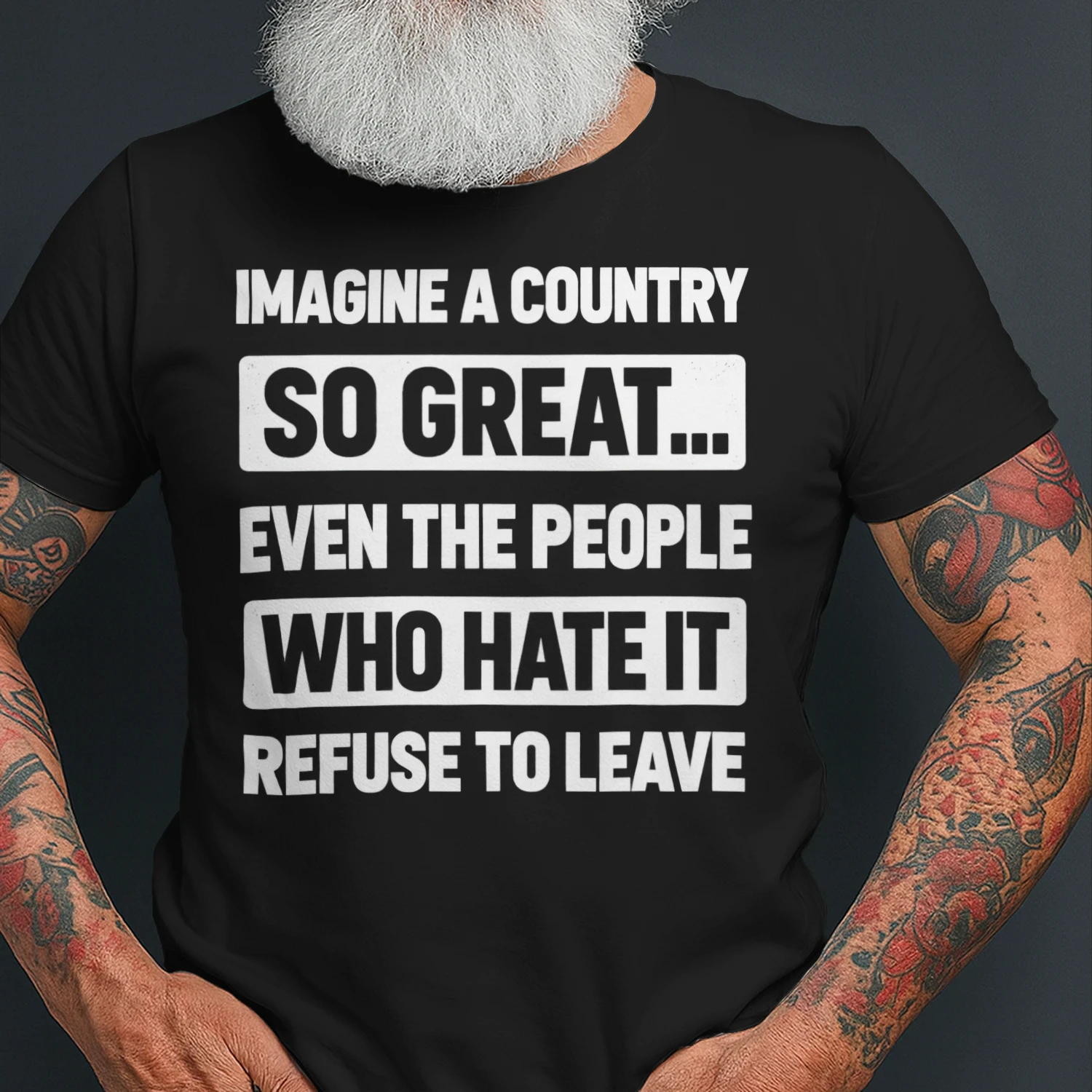 Imagine A Country So Great T-Shirt