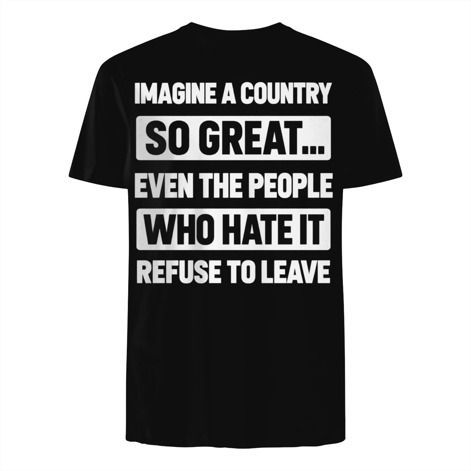 Imagine A Country So Great T-Shirt