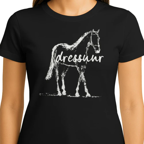 Dressuur v2