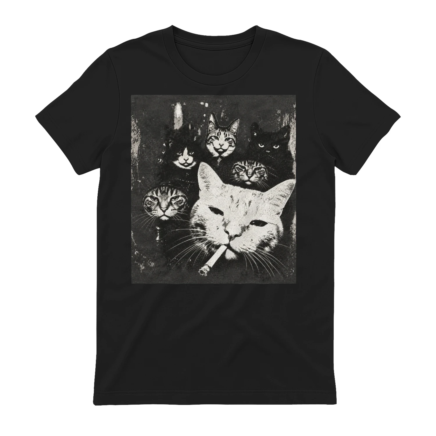 cats_smoking