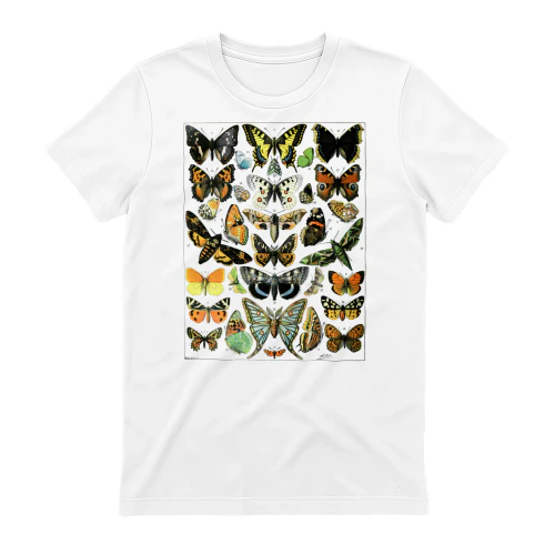 Insects Copy