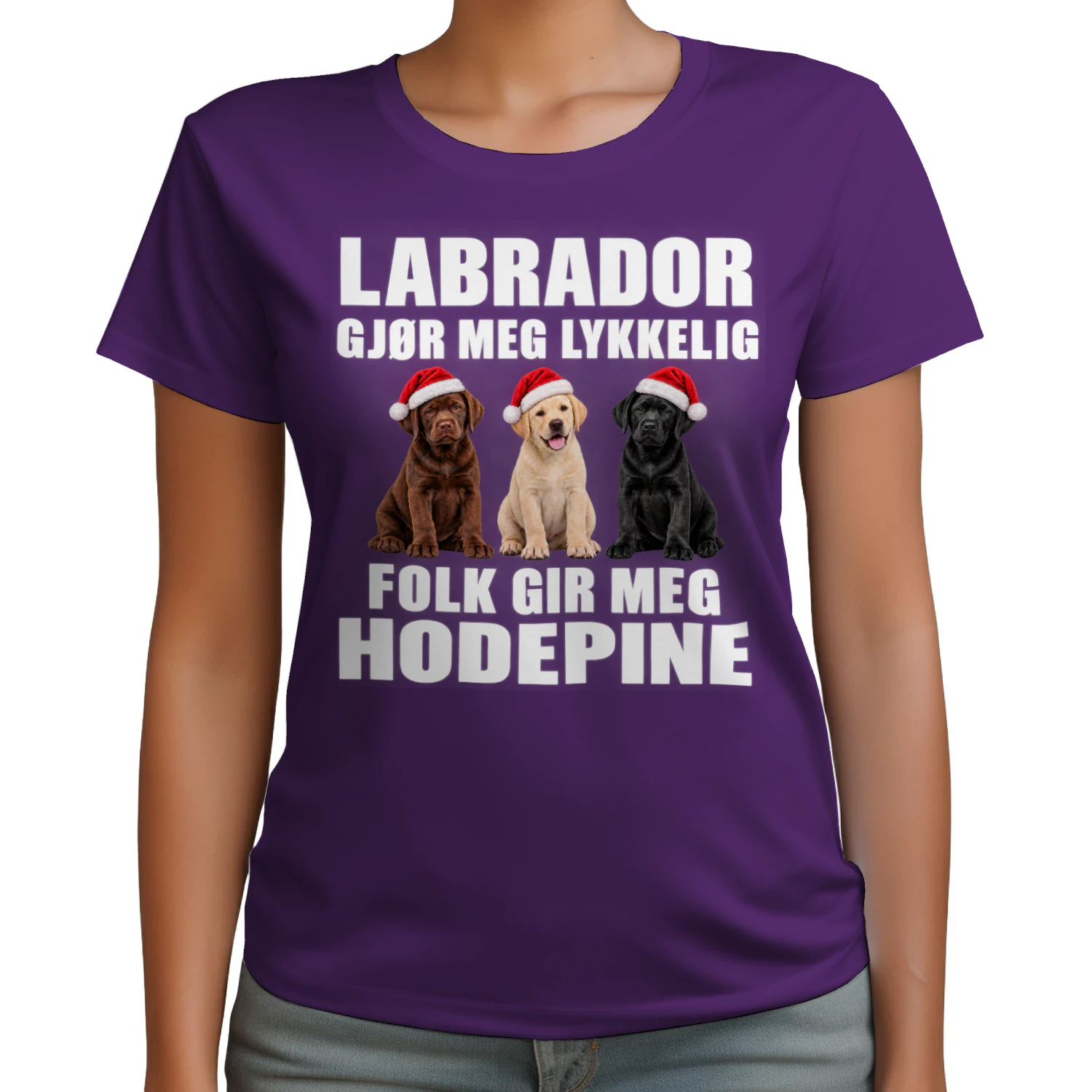 Labrador gjor meg lykkelig-Folk gir meg hodepine-Julegave