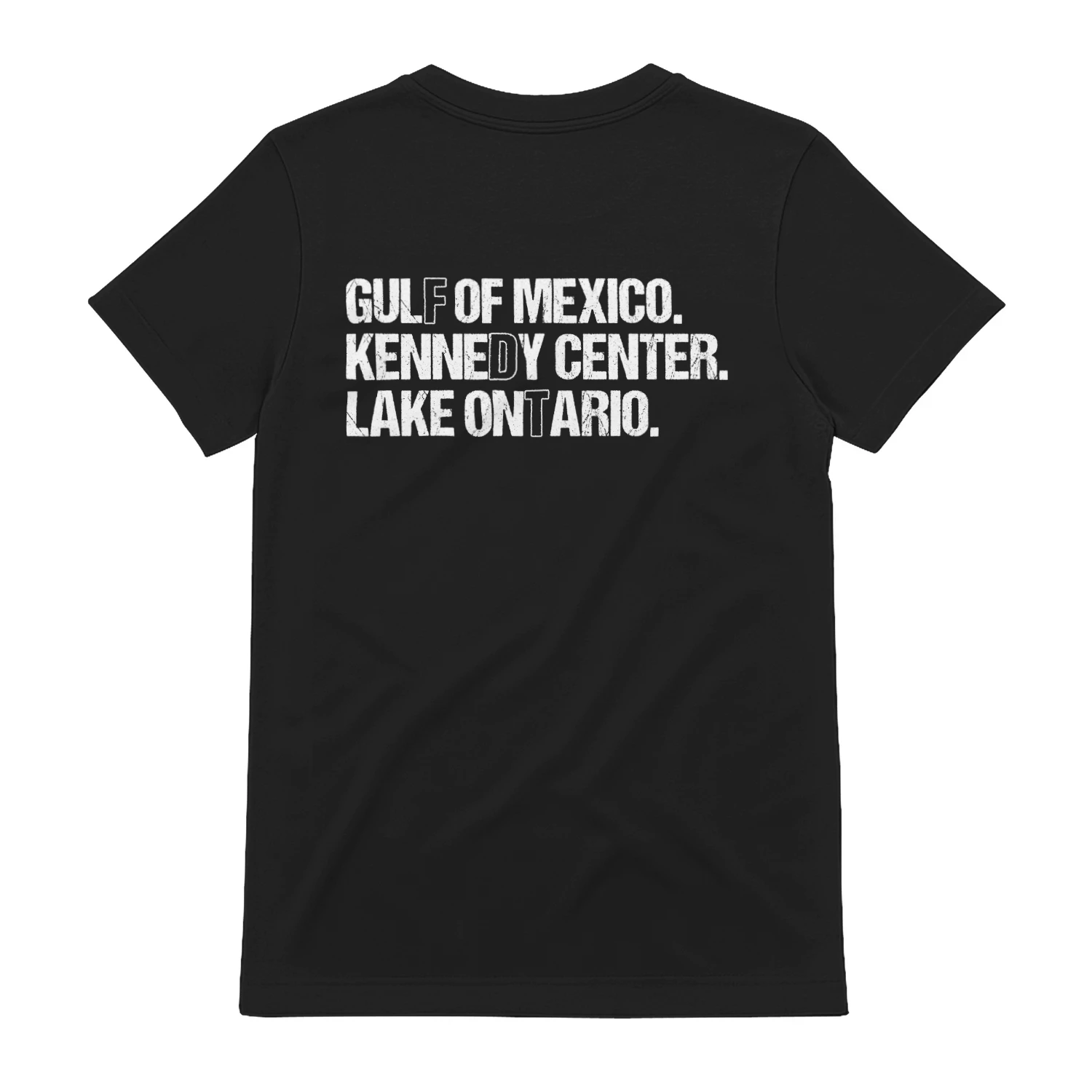 (ON Back) FDT Lake Ontario Kennedy Center Shirt, Funny Protest Tee