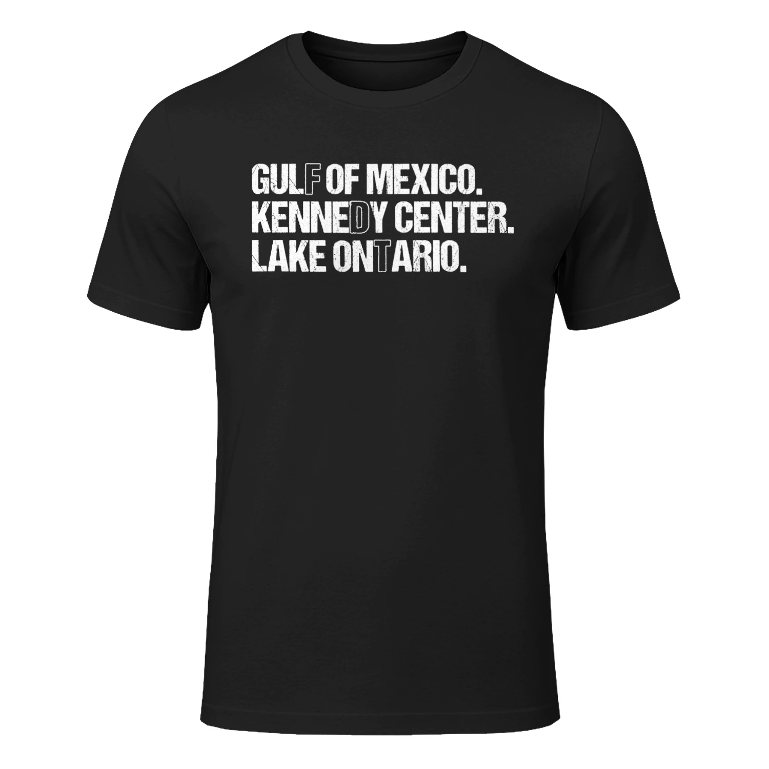 (ON FRONT) FDT Lake Ontario Kennedy Center Shirt, Funny Protest