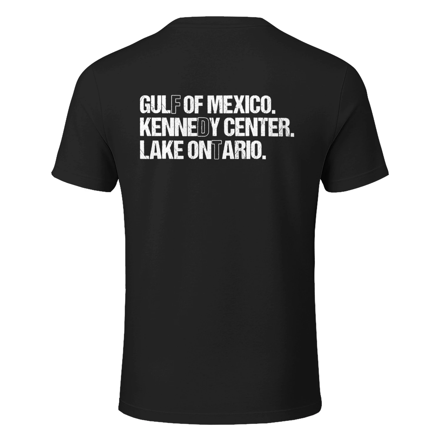(ON Back) FDT Lake Ontario Kennedy Center Shirt, Funny Protest Tee