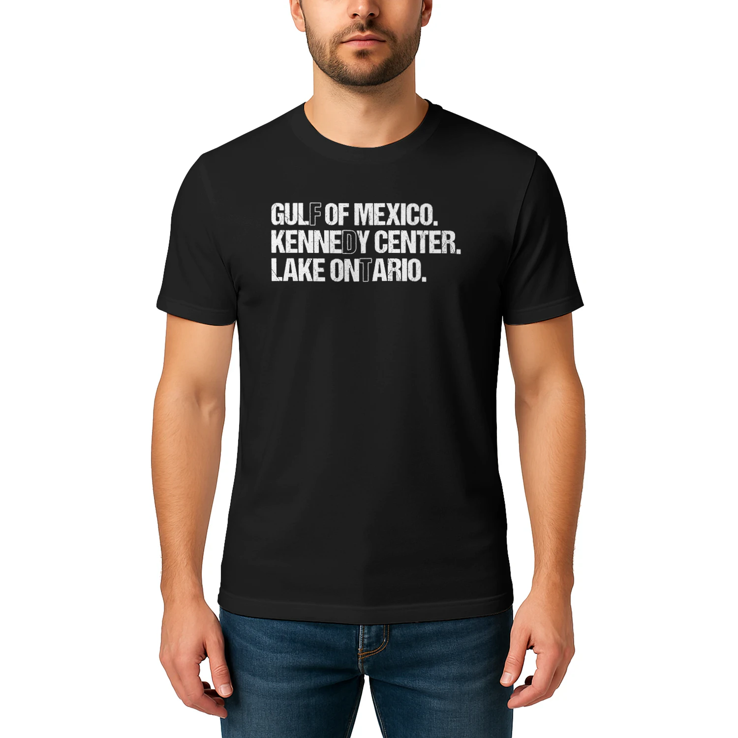 (ON FRONT) FDT Lake Ontario Kennedy Center Shirt, Funny Protest