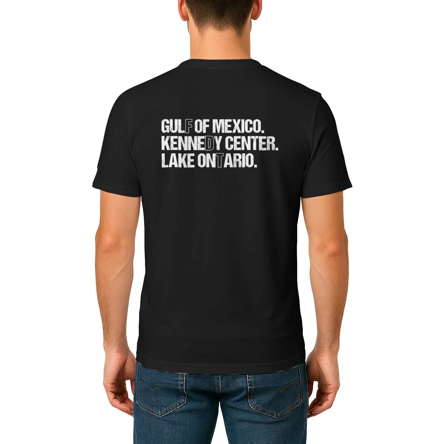 (ON Back) FDT Lake Ontario Kennedy Center Shirt, Funny Protest Tee