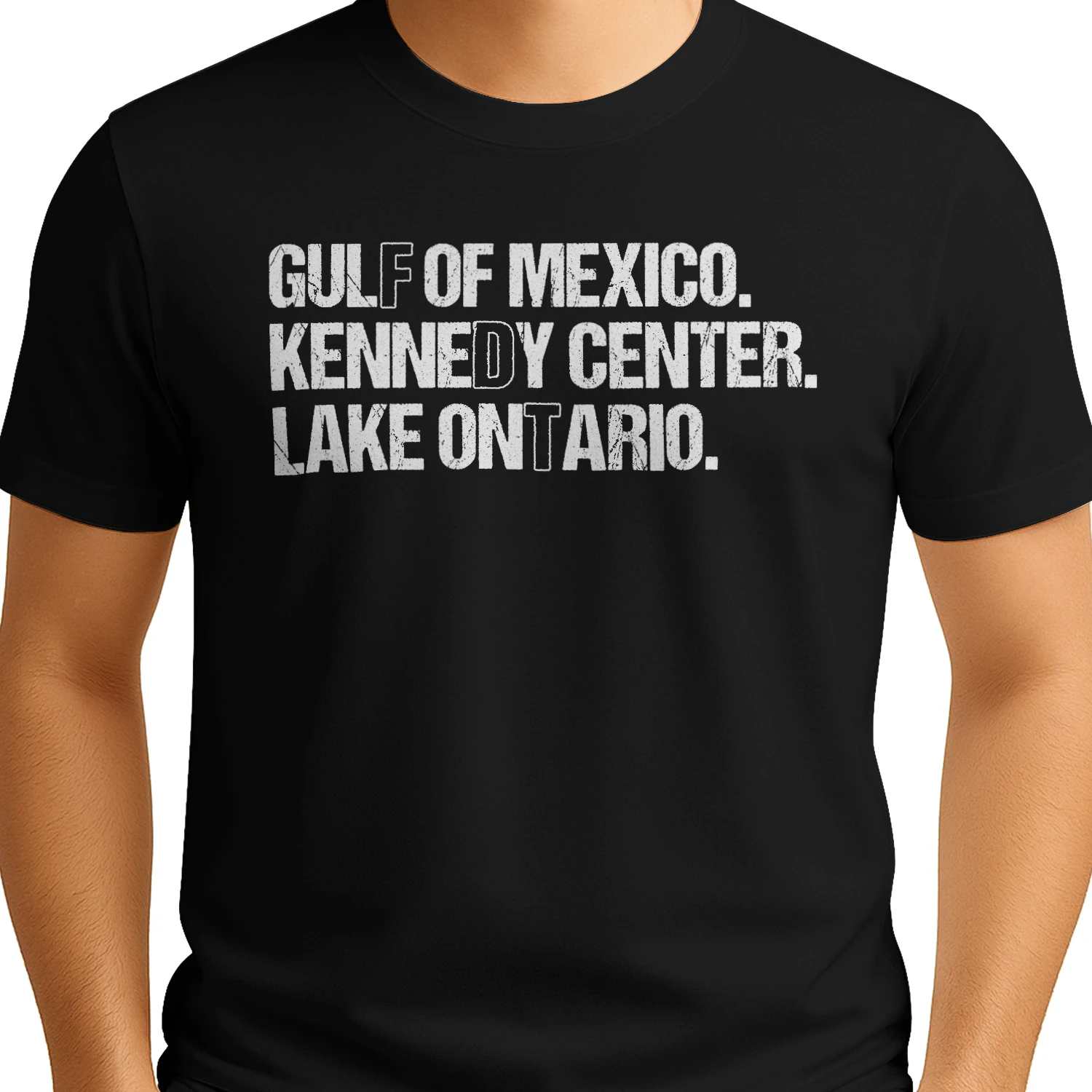 (ON FRONT) FDT Lake Ontario Kennedy Center Shirt, Funny Protest