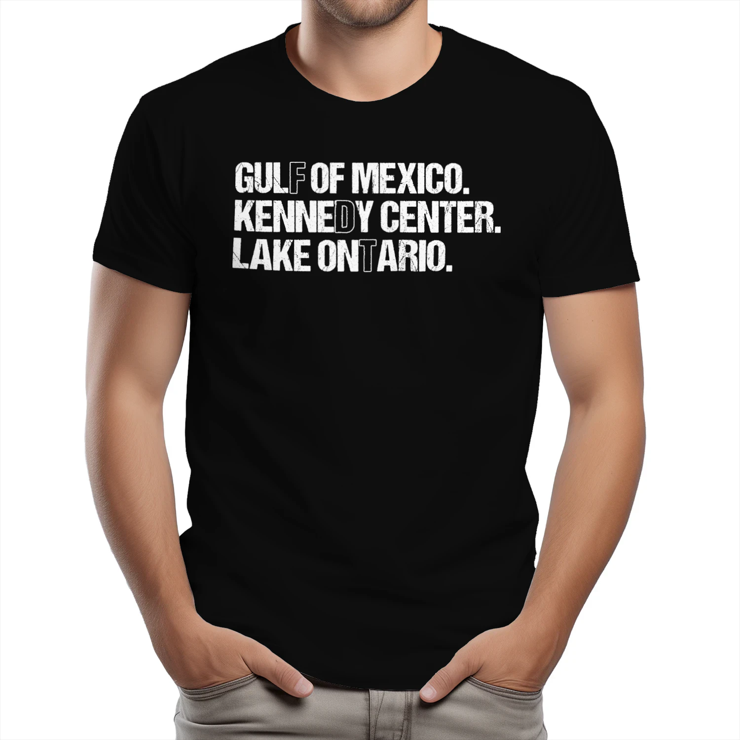 (ON FRONT) FDT Lake Ontario Kennedy Center Shirt, Funny Protest