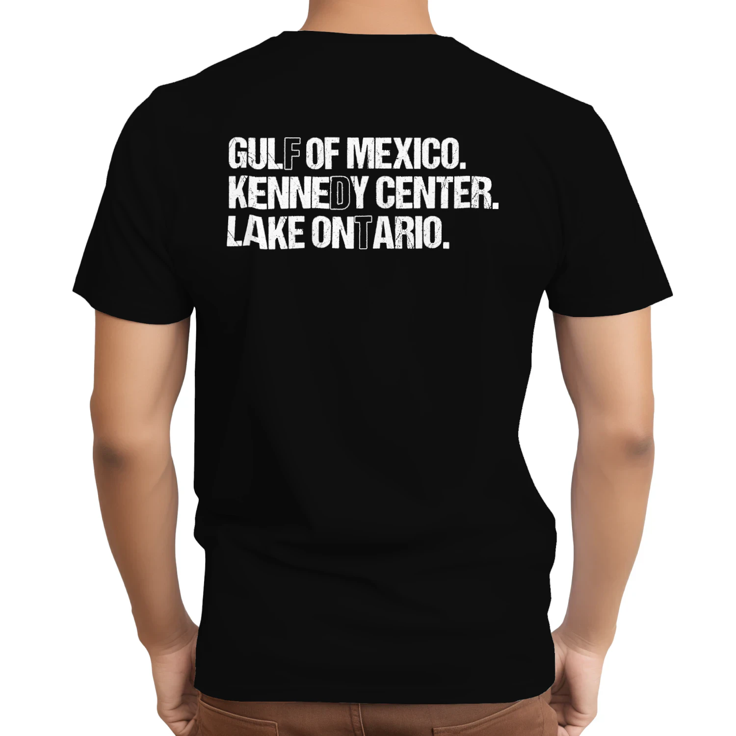 (ON Back) FDT Lake Ontario Kennedy Center Shirt, Funny Protest Tee
