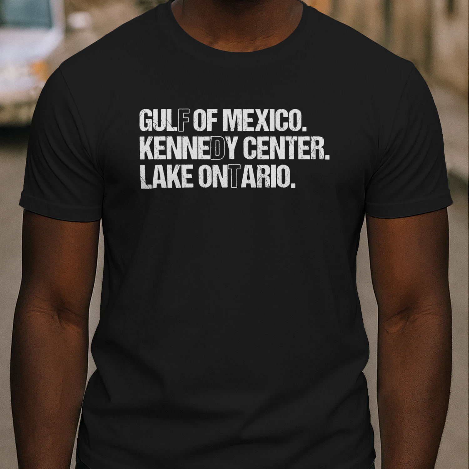 (ON FRONT) FDT Lake Ontario Kennedy Center Shirt, Funny Protest