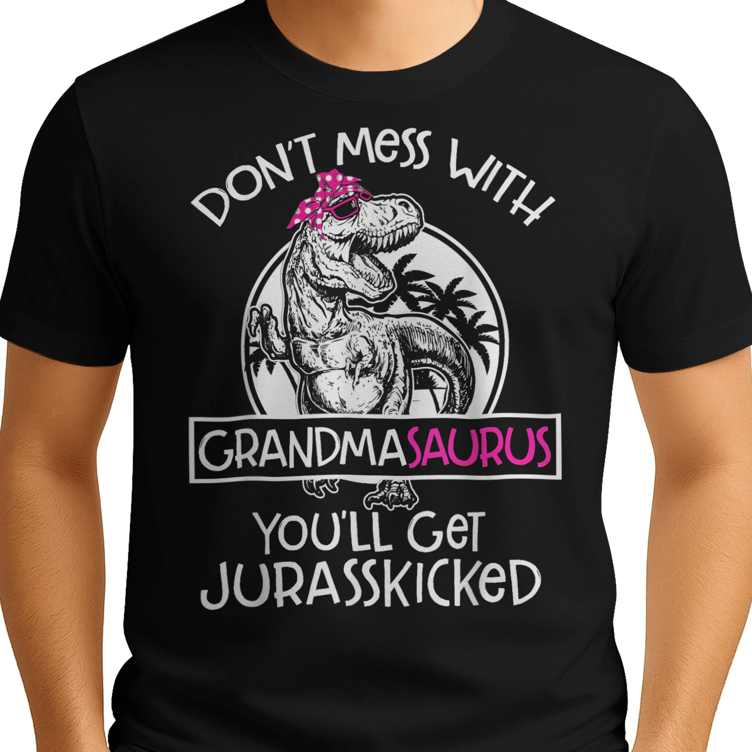 Dont Mess with Grandmasaurus Youll Get