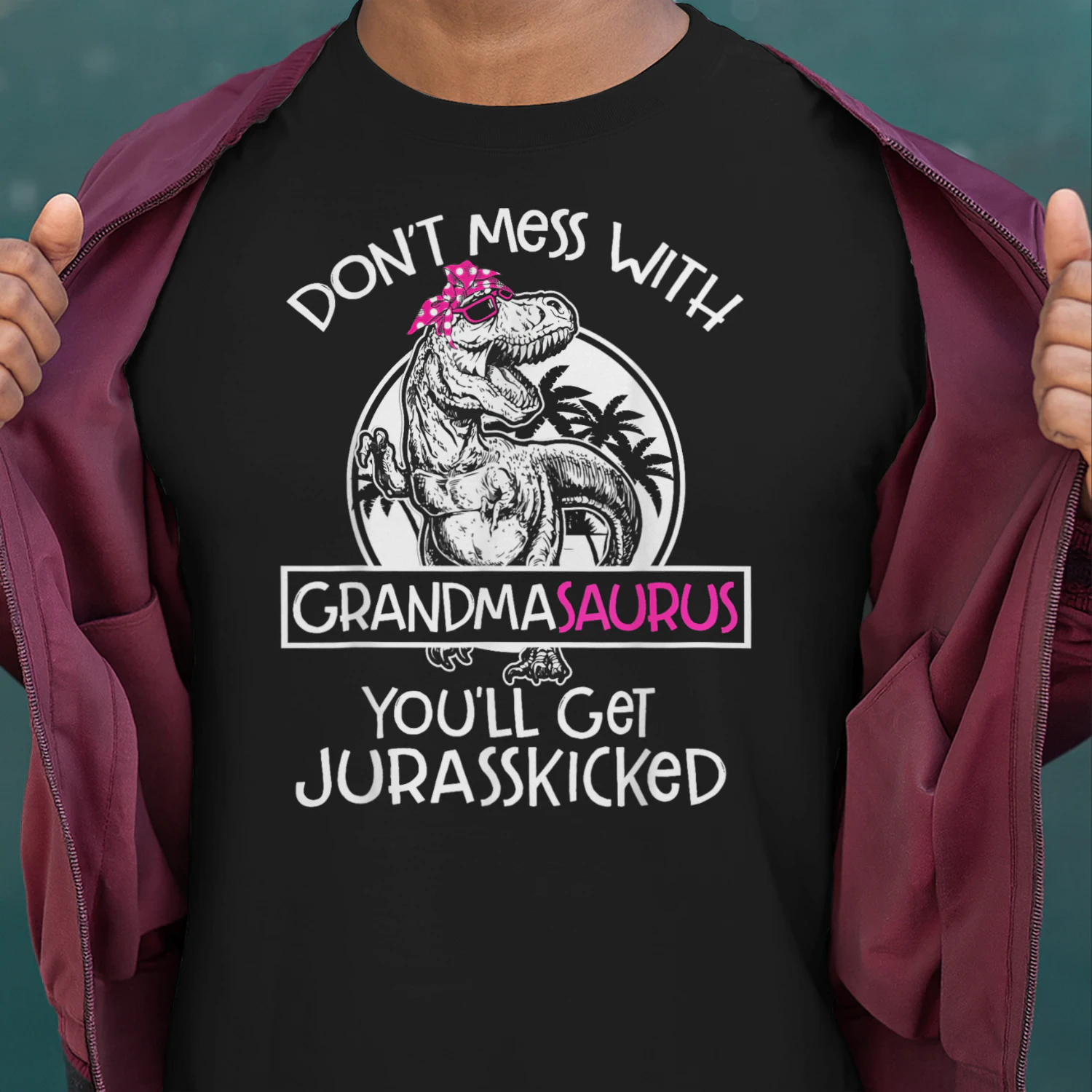 Dont Mess with Grandmasaurus Youll Get