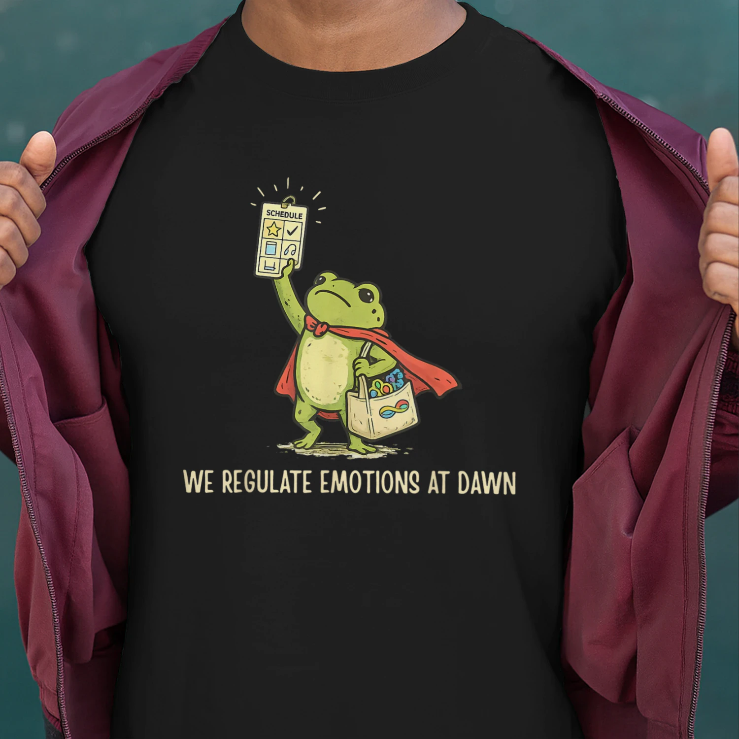 Autism We Regulate Emotions at Dawn Superhero Frog Schedule Funny