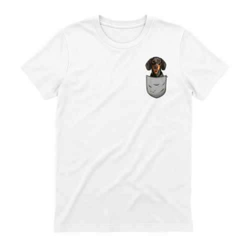 Dachshund