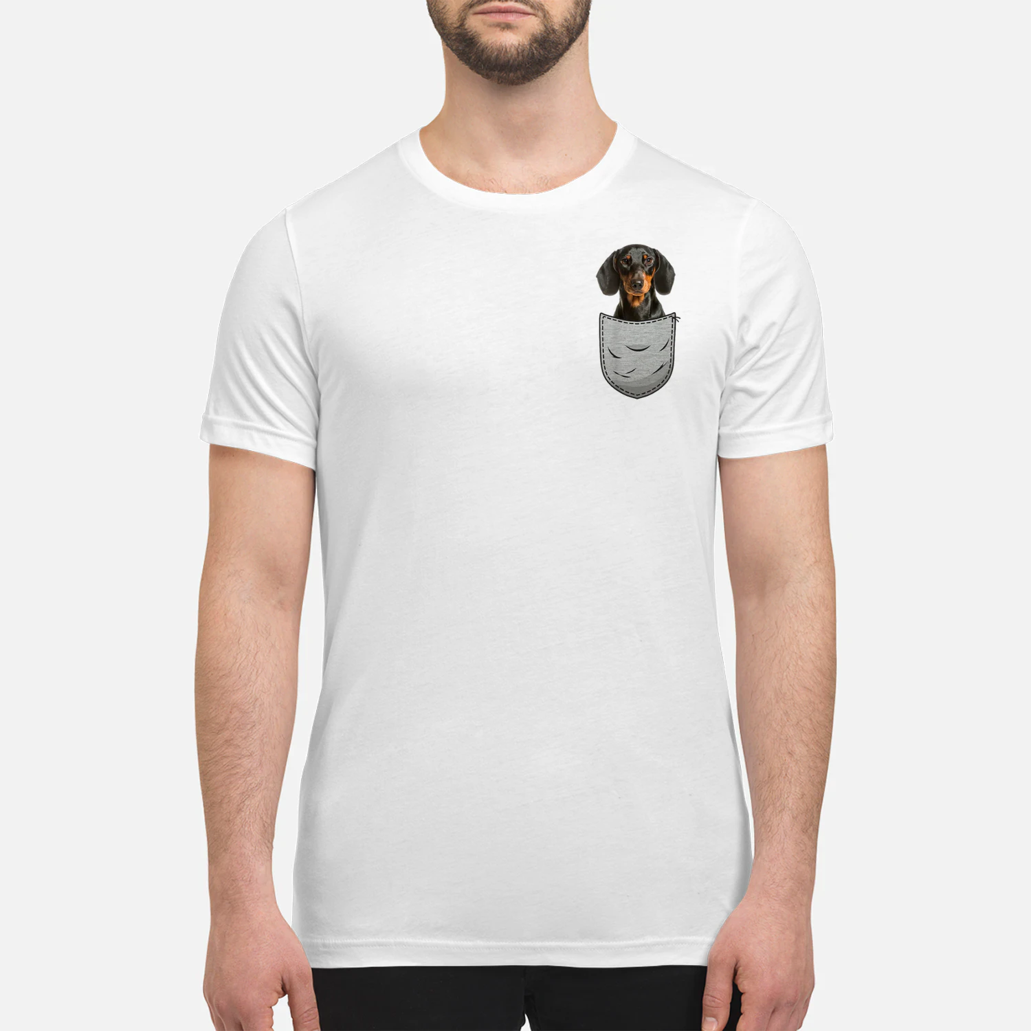 Dachshund Lover