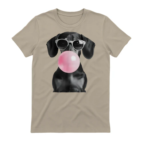 Dachshund