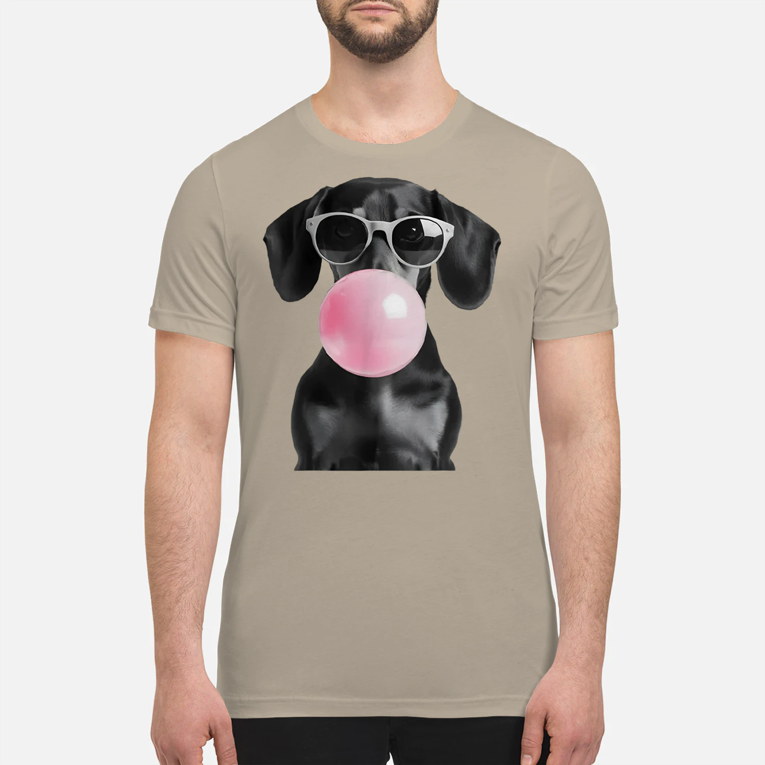 Dachshund Lover