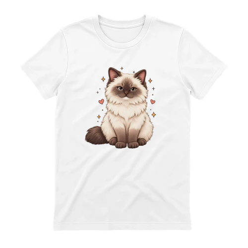 Katzen