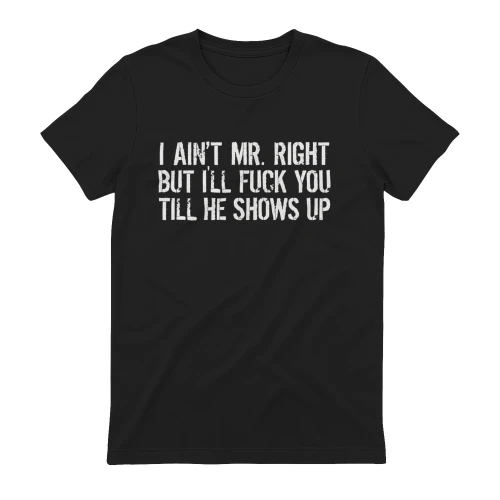 I AIN'T MR. RIGHT BUT ILL FUCK YOU TILL HE SHOWS UP