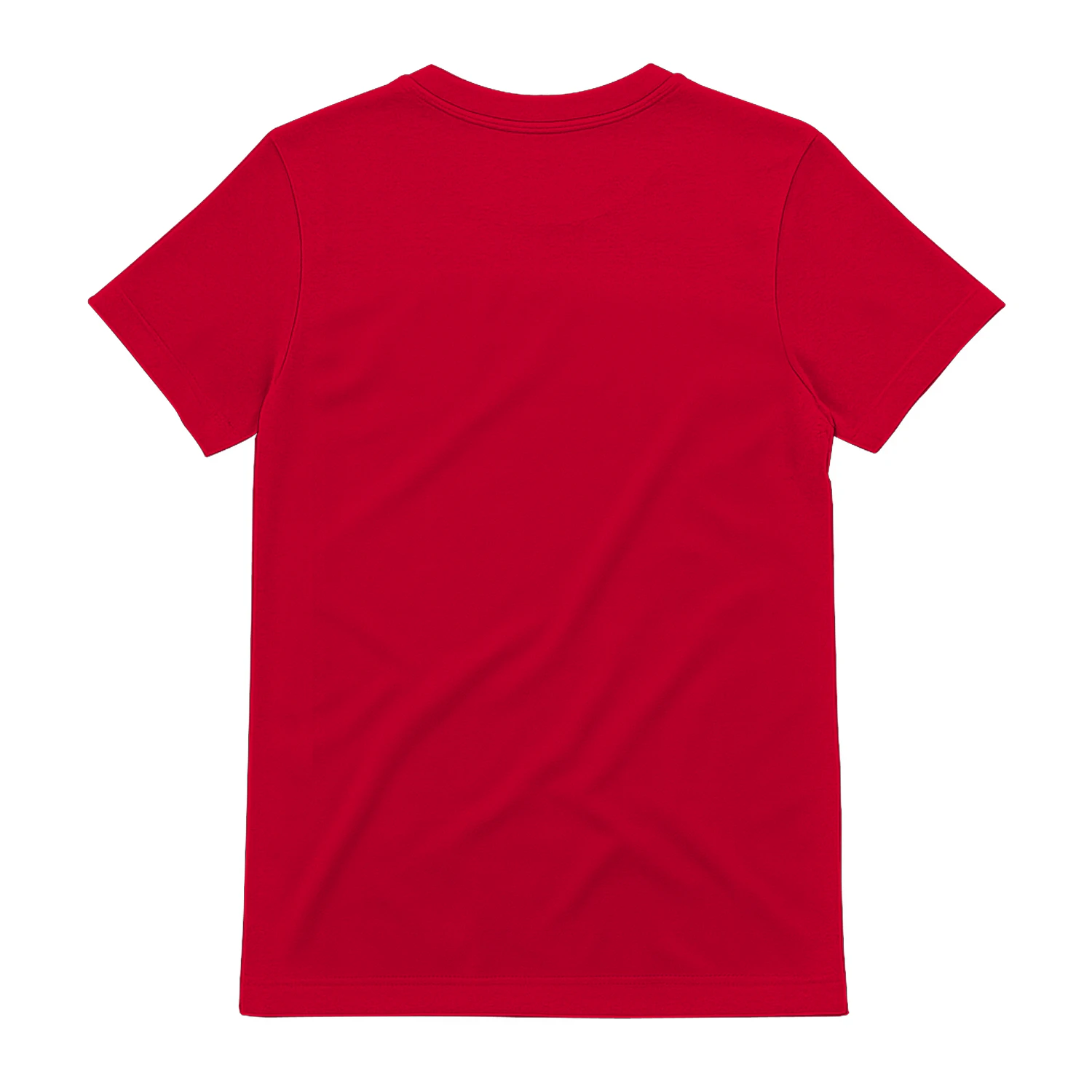Funny Demon Meme T-Shirt – "Bro, We're Demons" Graphic Tee