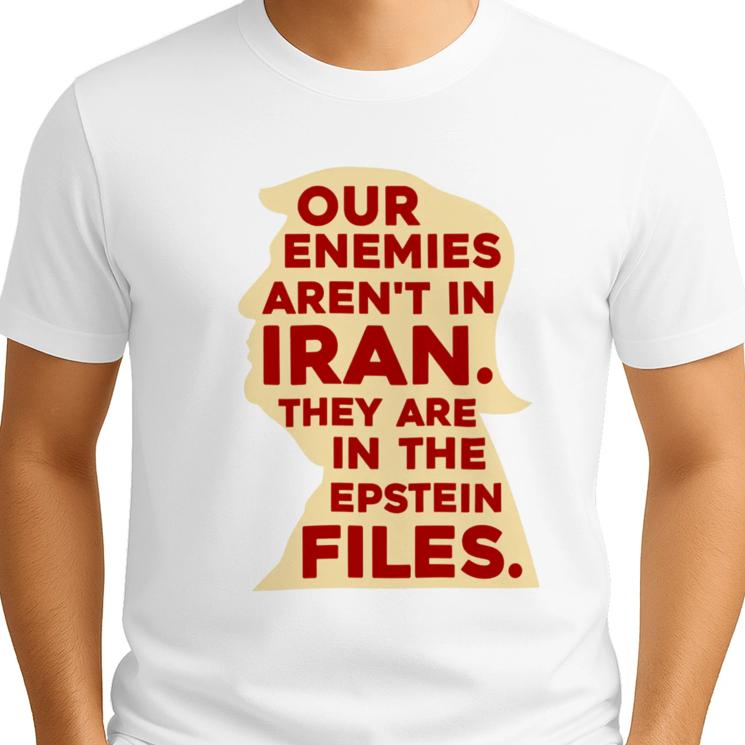 Our Enemies Aren't In Iran They Are In The Epstein Files Political Statement T-Shirt