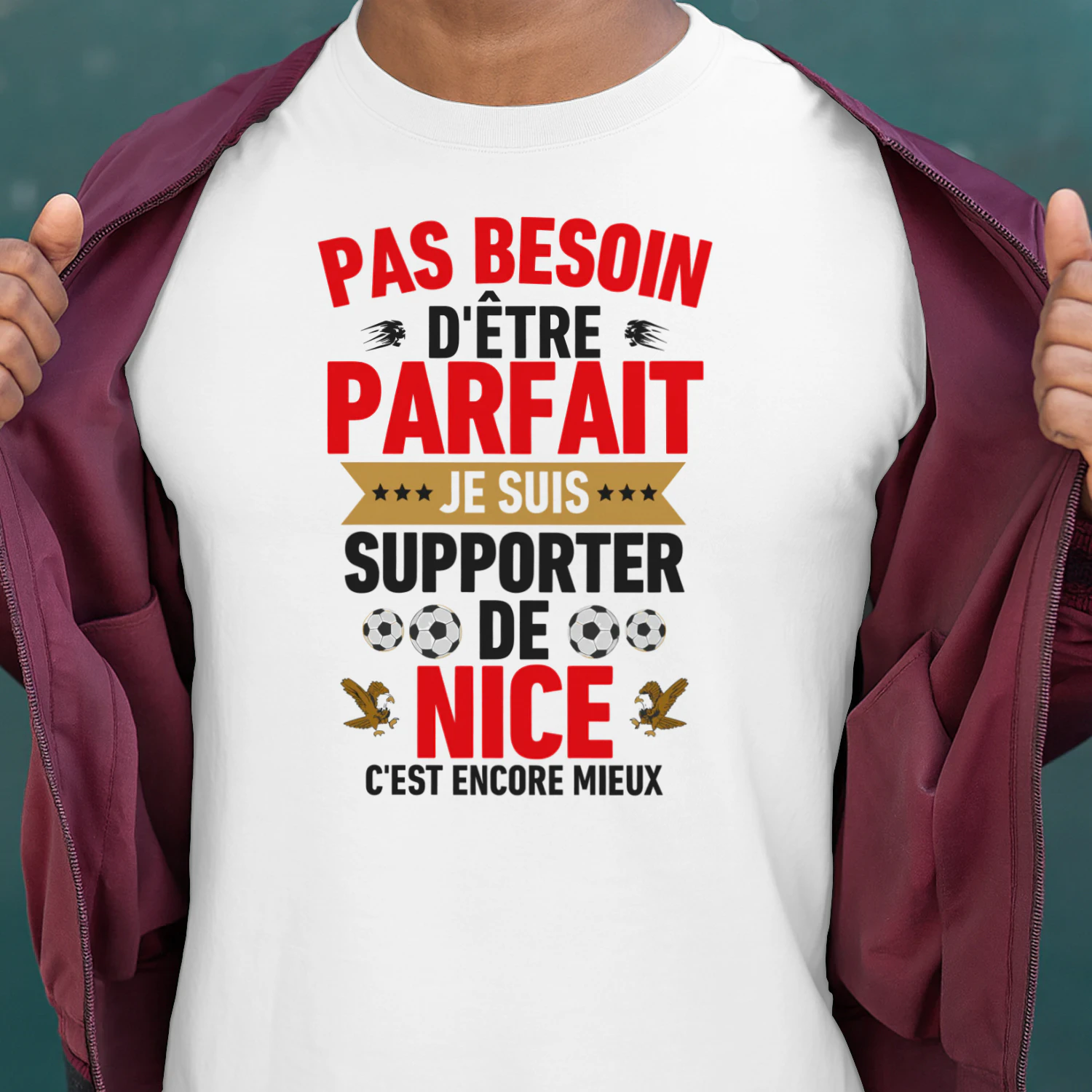 Je ne suis pas parfait mais je suis supporter de nice c'est presque pareil