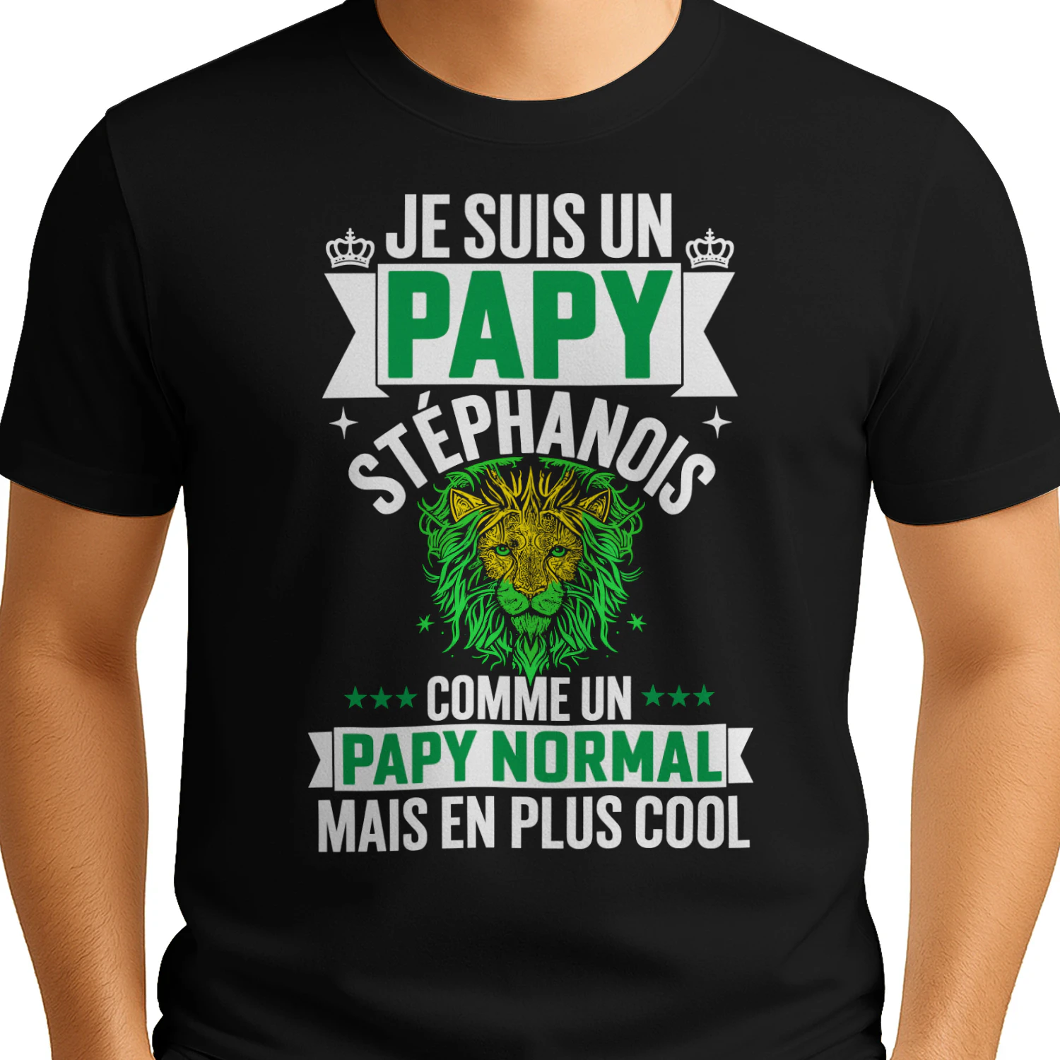 je suis un papy stéphanois comme un papy normal mais en plus cool