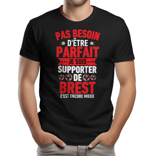 pas besoin d'être parfait mais je suis supporter de brest c'est encore mieux