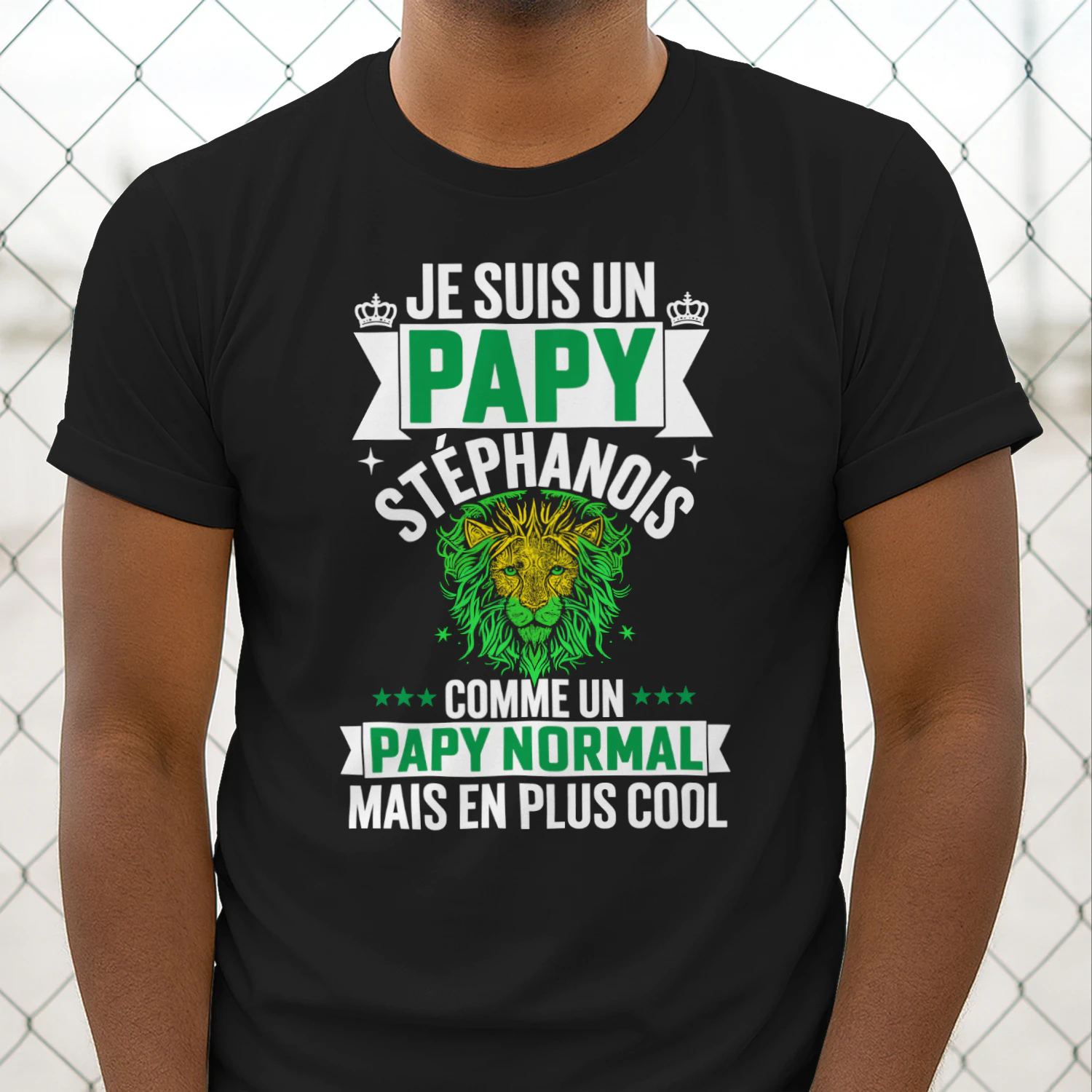 je suis un papy stéphanois comme un papy normal mais en plus cool