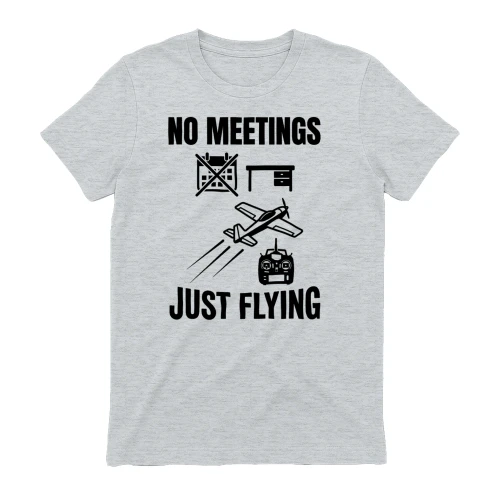 No Meetings Just Flying