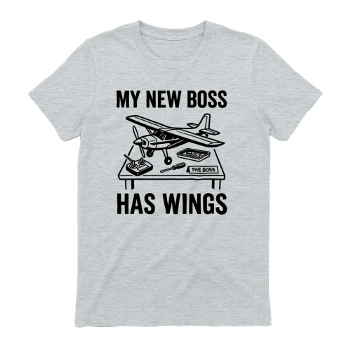 My New Boss Has Wings