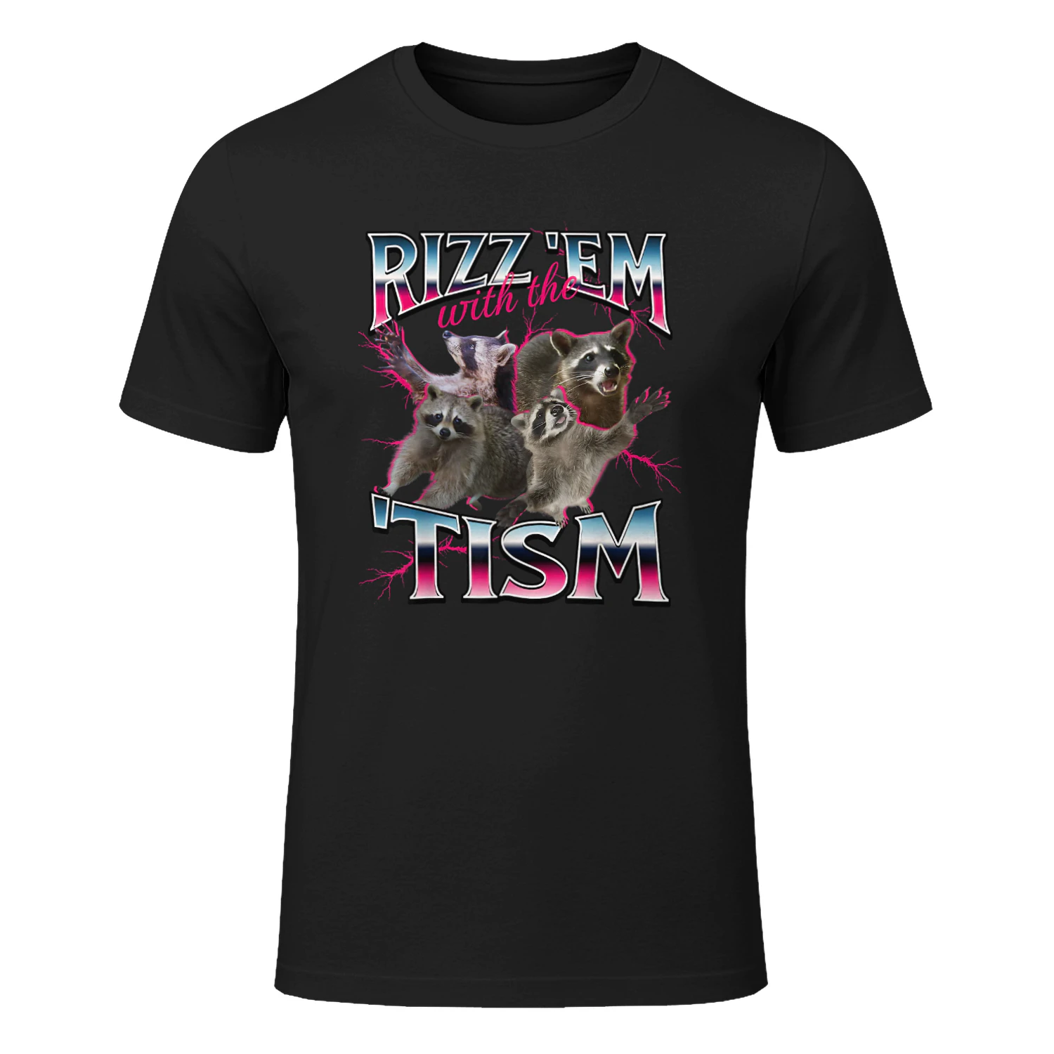 Autism Funny Rizz Em with The Tism Meme Autistic Racoon