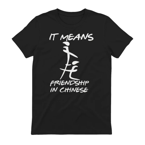 It Means Friendship in Chinese Funny Sarcasm T-Shirt