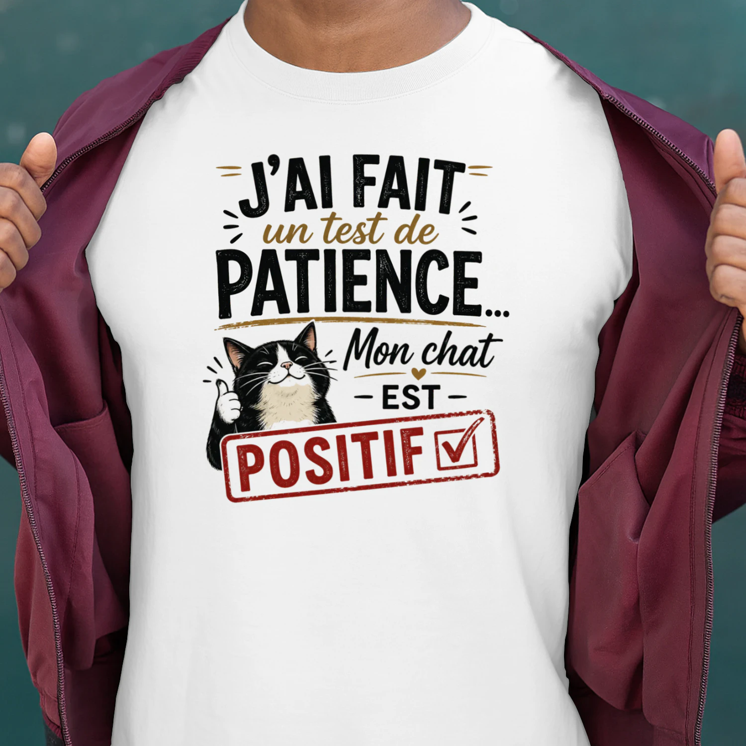 J'ai fait un test de patience... Mon chat est positif.🐾 