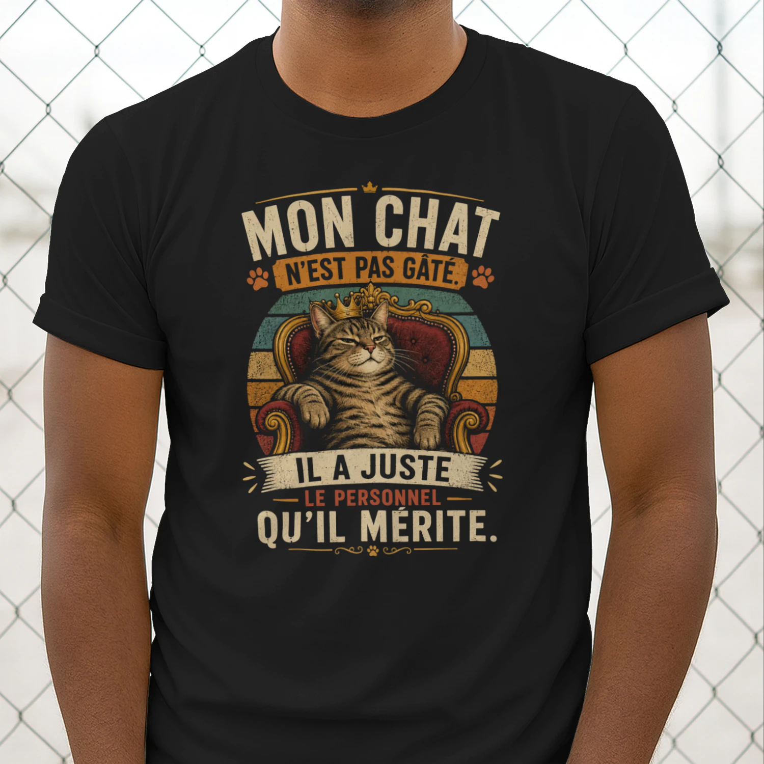 MON CHAT N'EST PAS GÂTÉ.  IL A JUSTE LE PERSONNEL QU'IL MÉRITE.