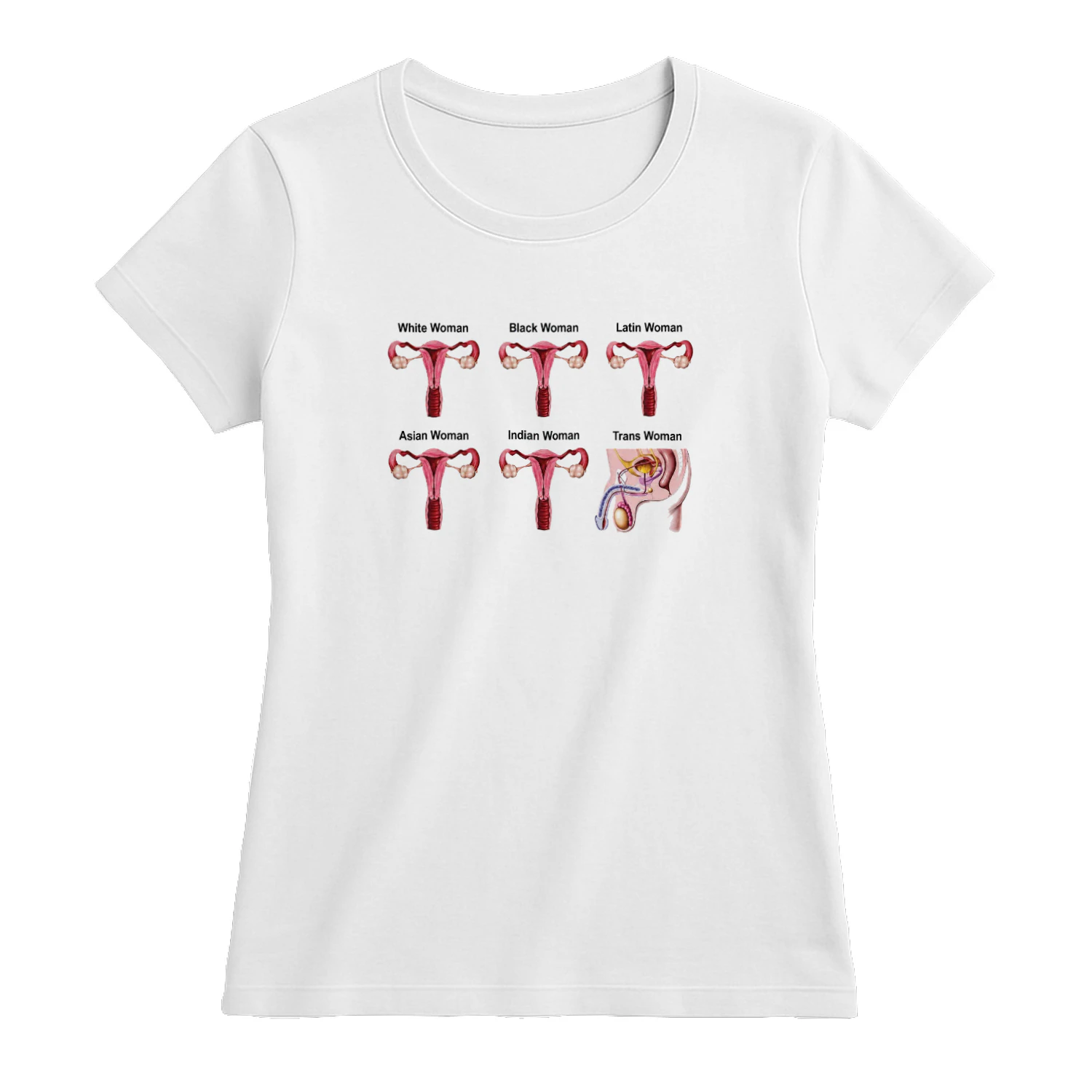 Diagrams Labeled White Woman Black Woman Trans Woman Shirt