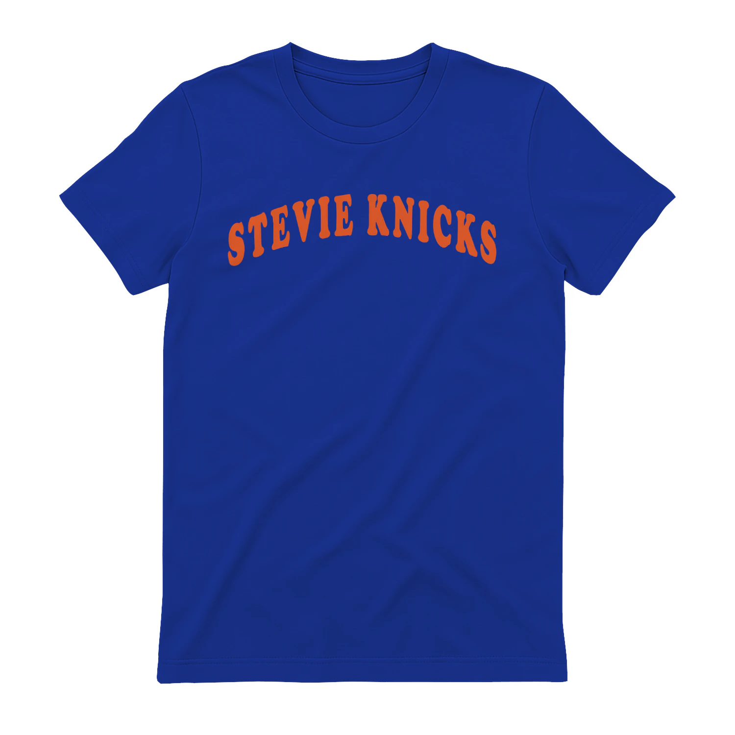 Taylor Swift Stevie Knicks Shirt