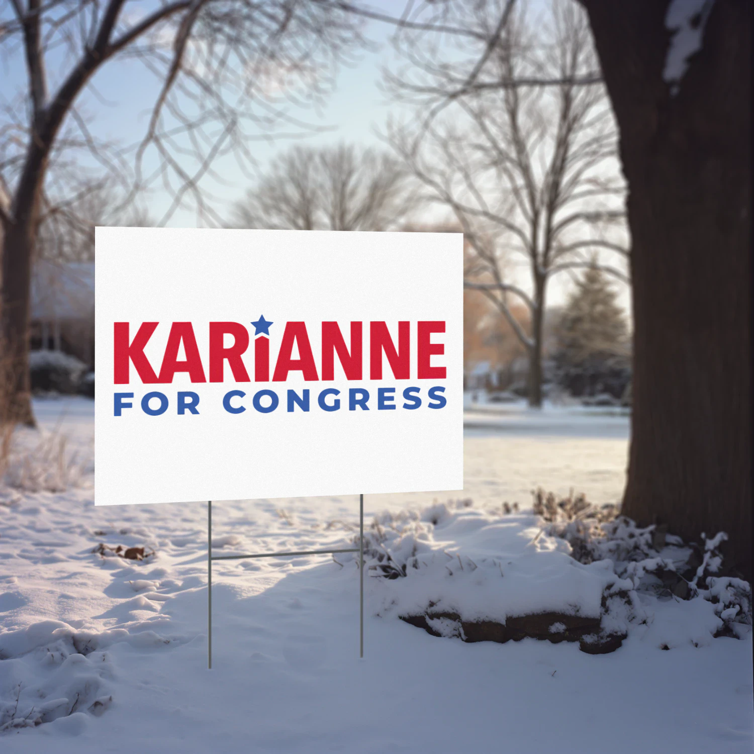 Karianne For Congress Yard Sign