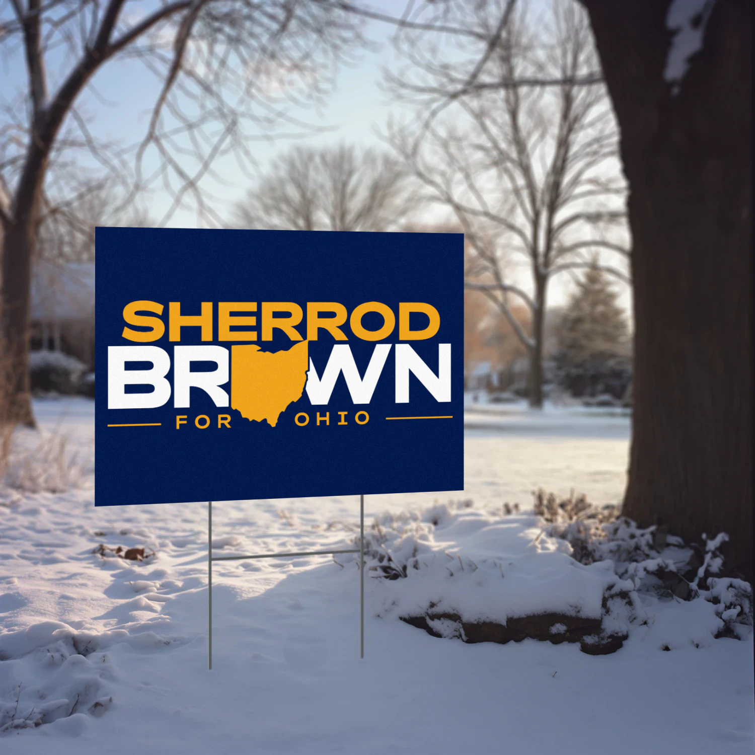 Sherrod Brown Senator For Ohio Yard Sign