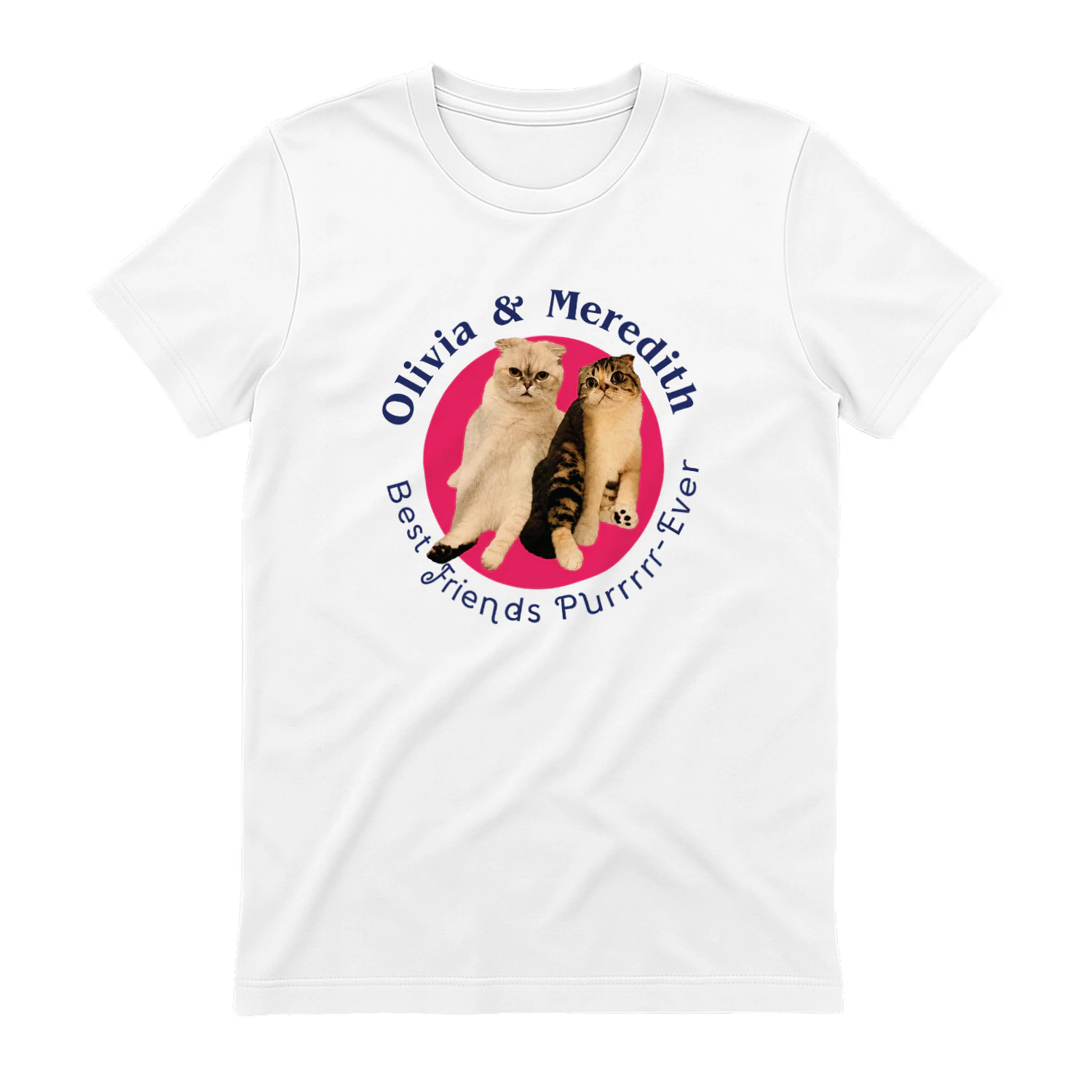 Ryan Reynolds Cat Shirt