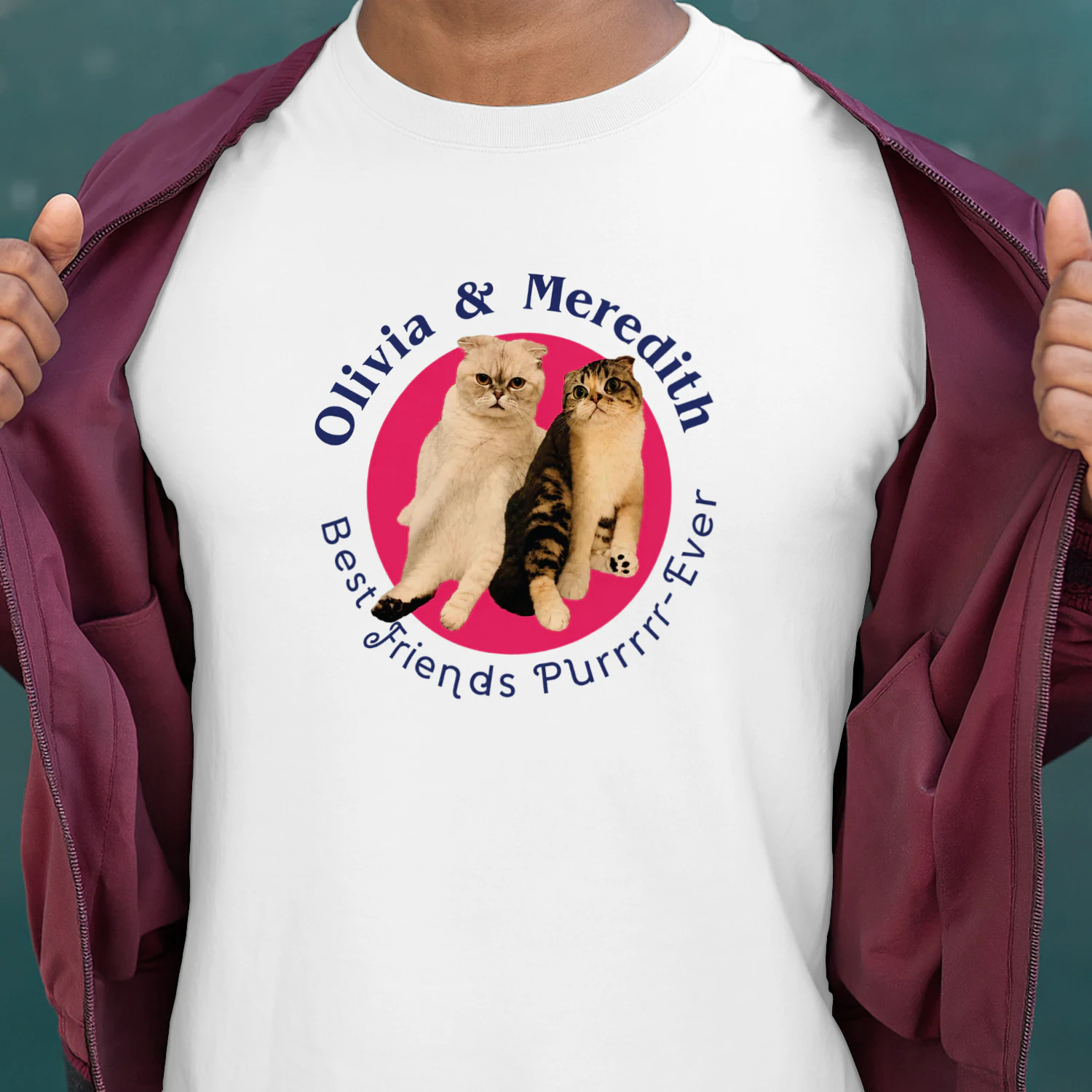 Ryan Reynolds Cat Shirt
