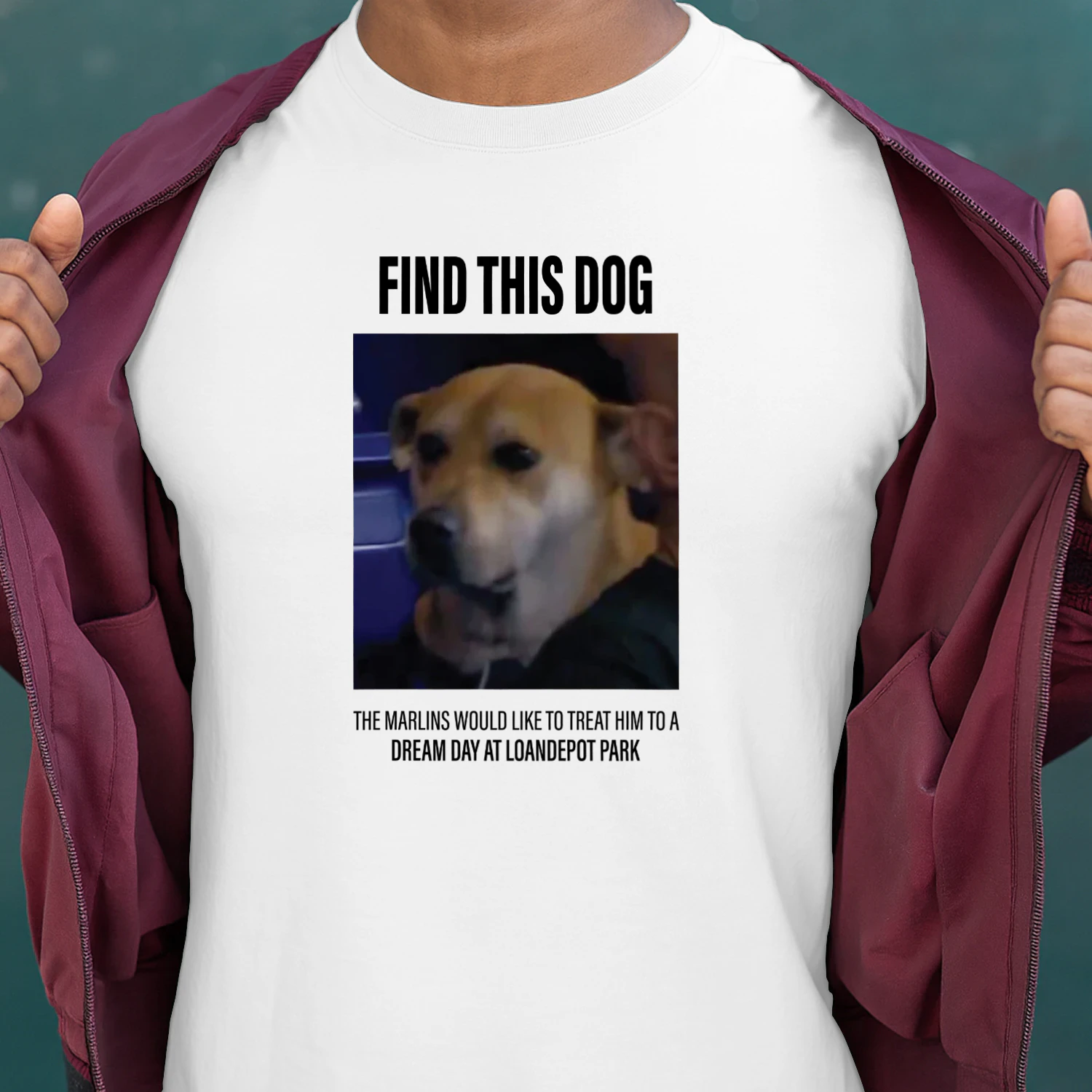 Find This Dog Marlins Dream Day Shirt