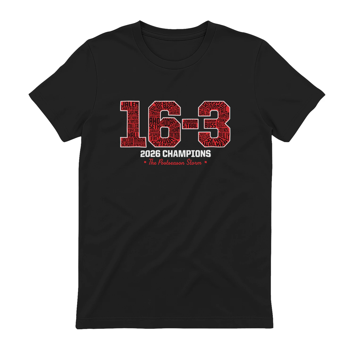 Carolina Hurricanes 16-3 2026 Champs Shirt