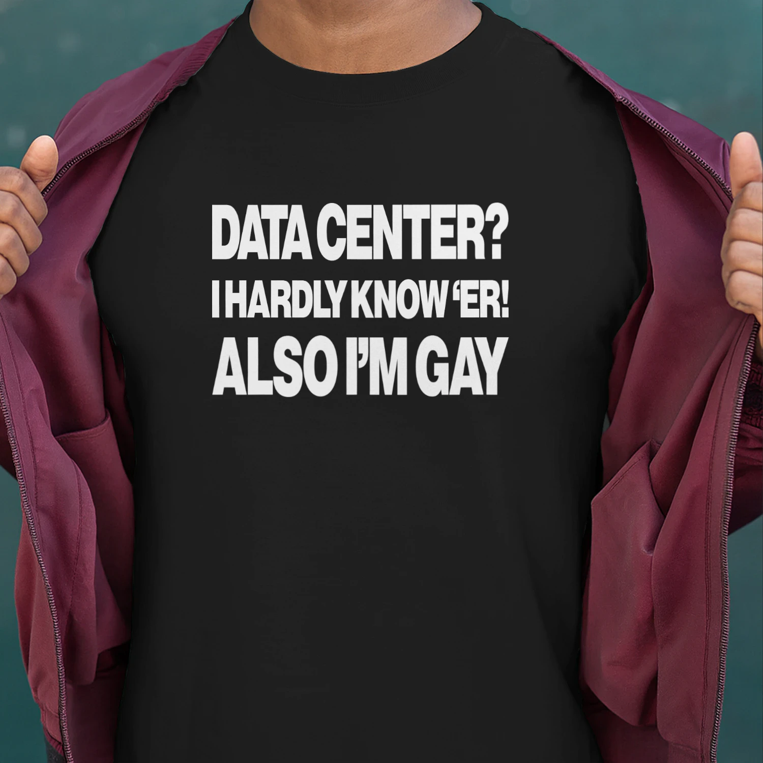 Data Center I Hardly Know 'Er! Also I'm Gay Shirt