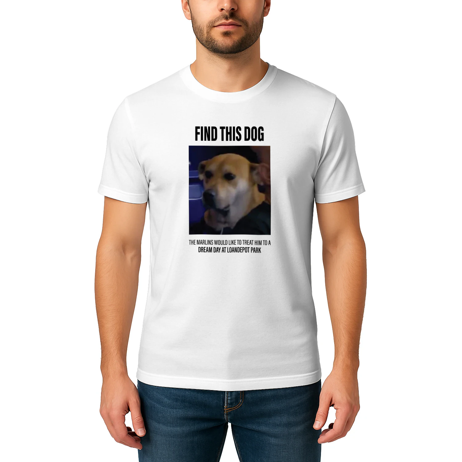 Find This Dog Marlins Dream Day Shirt