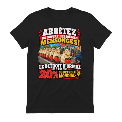 ARRÊTEZ DE SUIVRE LES MÊMES MENSONGES! DÉTROIT D'ORMUZ